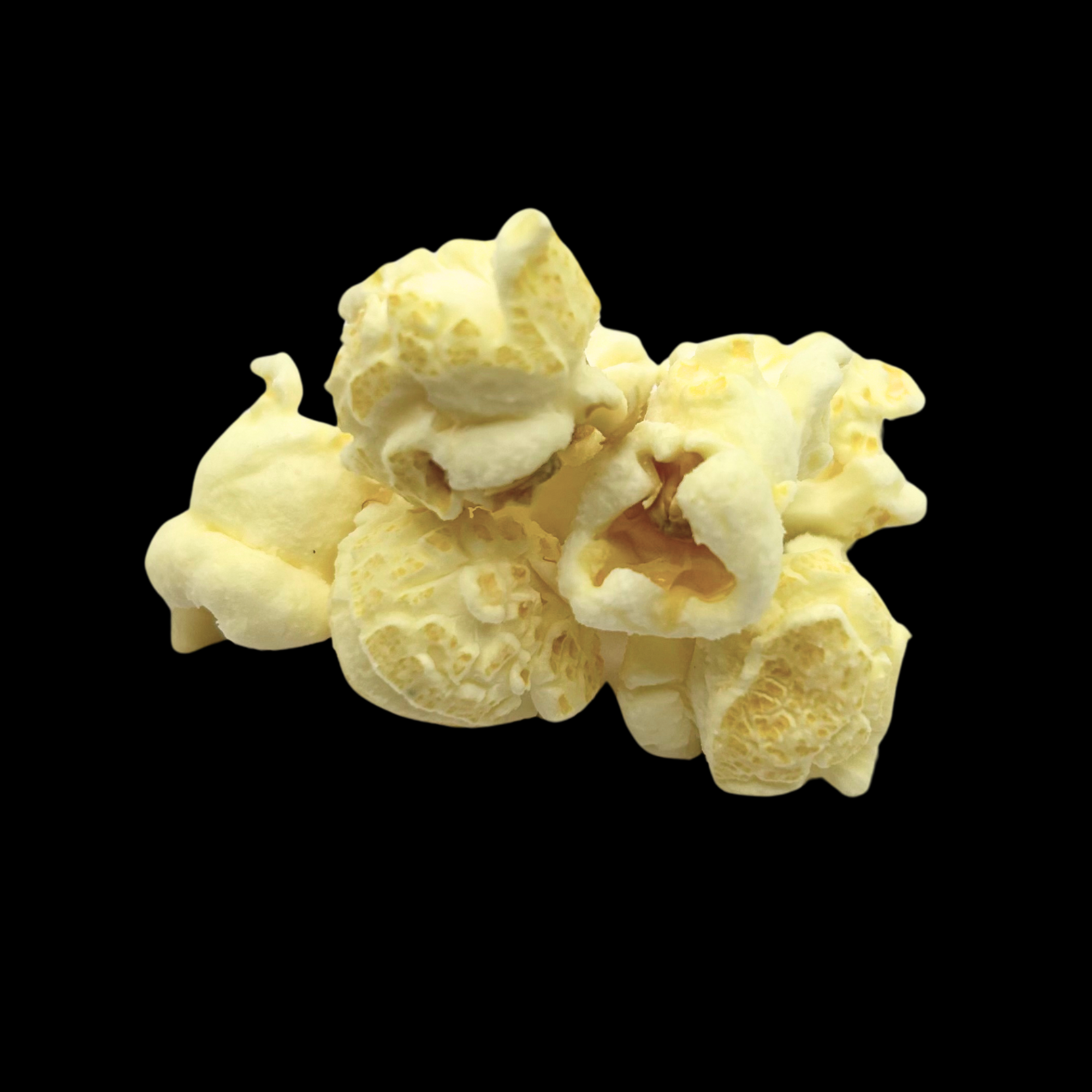 White Cheddar Flavored Popcorn | Bigfoot Popcorn